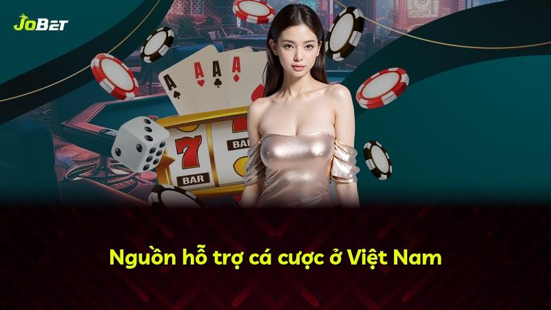 Nguồn hỗ trợ cá cược ở Việt Nam